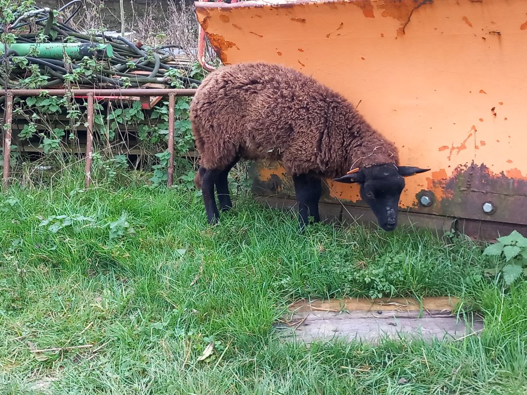 L’image actuelle n’a pas de texte alternatif. Le nom du fichier est : 20241110_154122-scaled.jpg