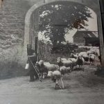 L’image actuelle n’a pas de texte alternatif. Le nom du fichier est : Birel03.jpg