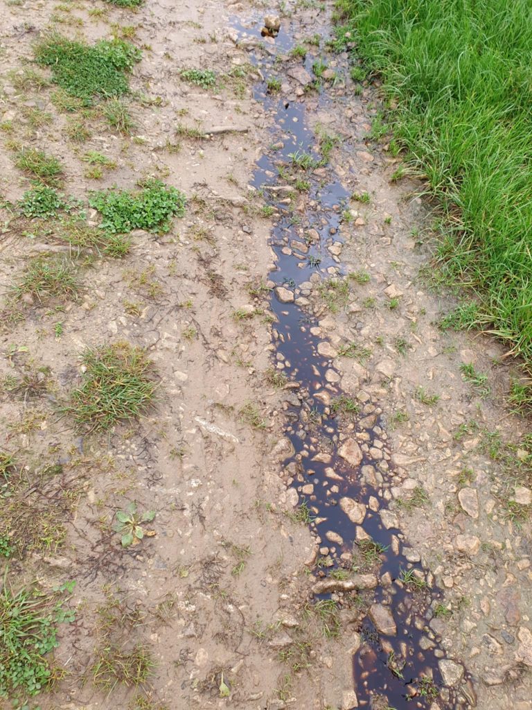 L’image actuelle n’a pas de texte alternatif. Le nom du fichier est : eau-1.jpg